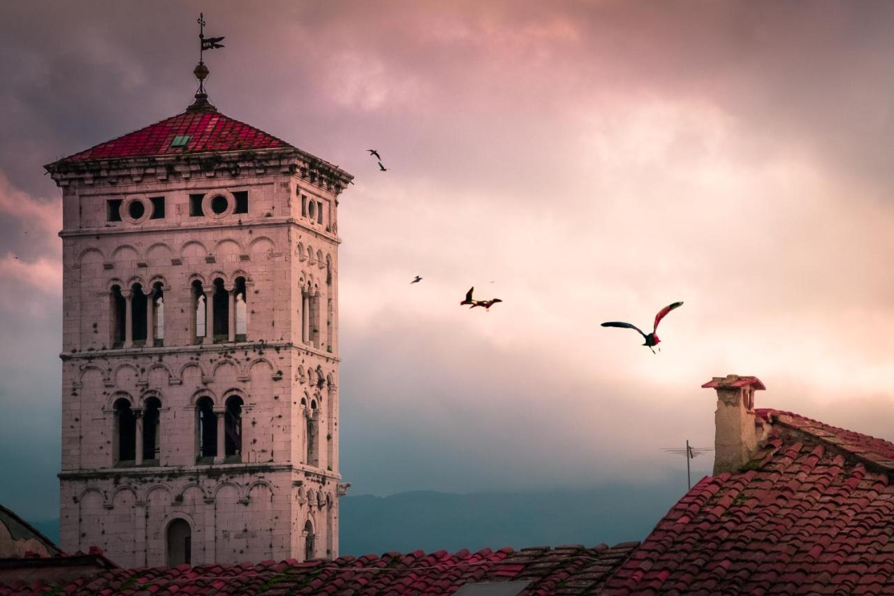 Villa De Maestri - With Elevator Since September 2025 Lucca Exteriör bild