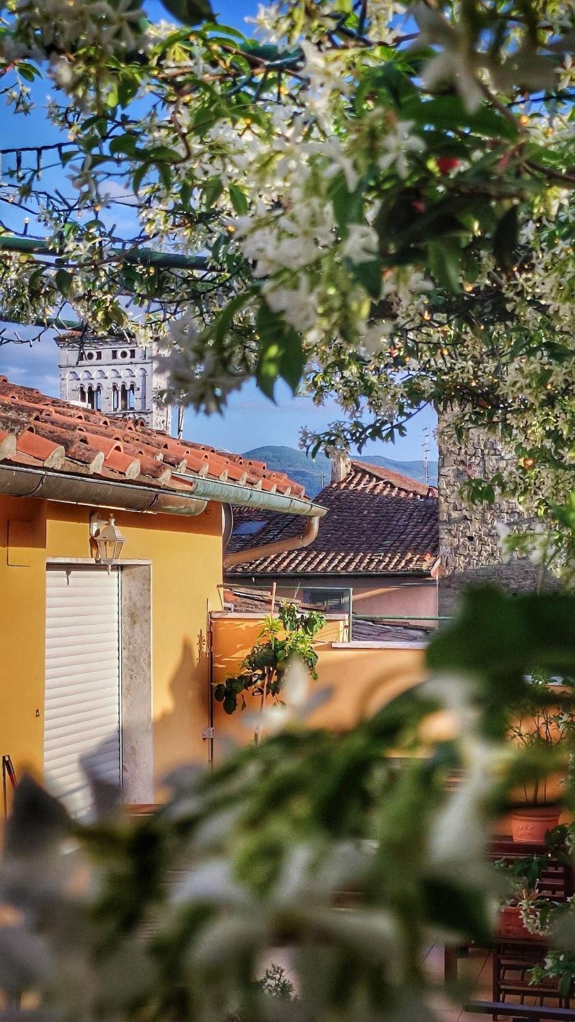 Villa De Maestri - With Elevator Since September 2025 Lucca Exteriör bild